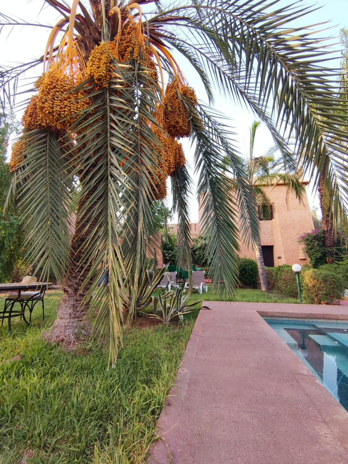 Riad Sheherazade Marrakech Марракеш Экстерьер фото