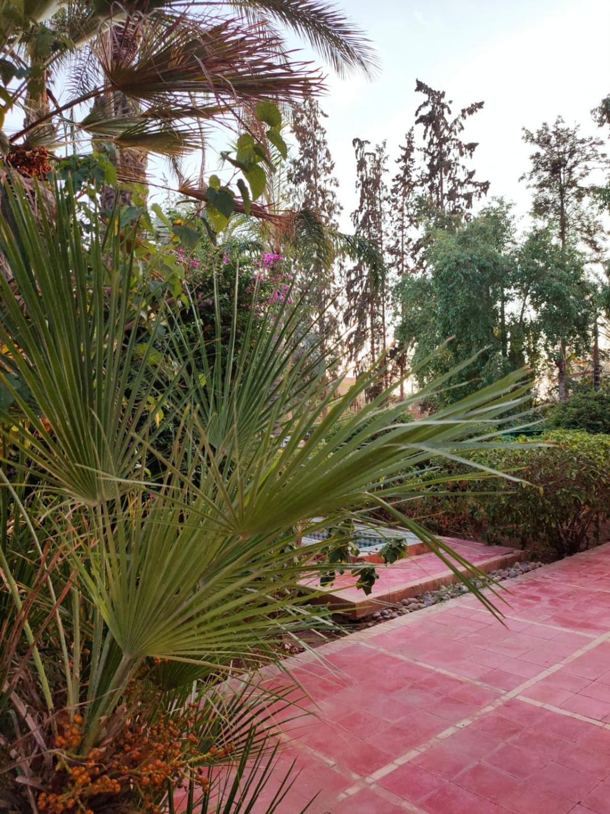 Riad Sheherazade Marrakech Марракеш Экстерьер фото