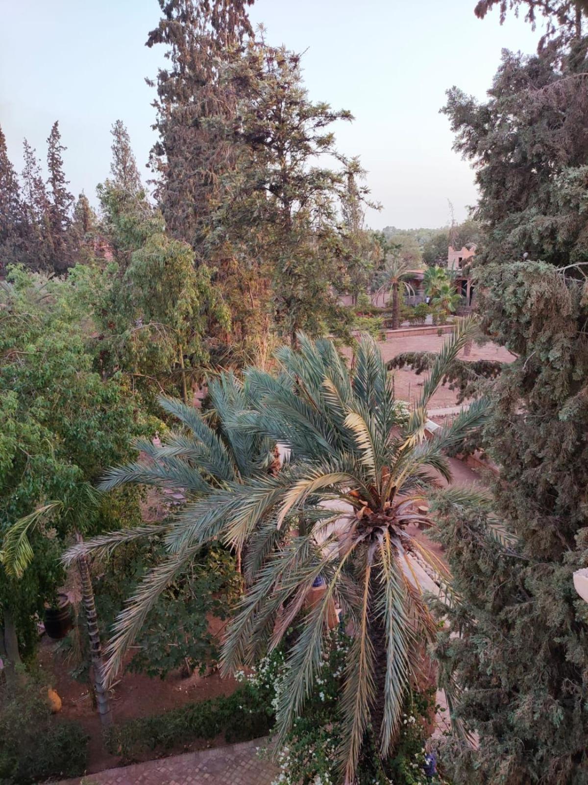 Riad Sheherazade Marrakech Марракеш Экстерьер фото